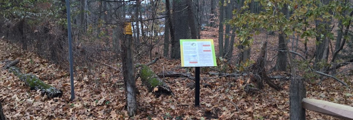 Servoss / Mather St Trail