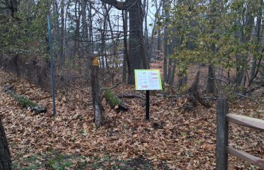 Servoss / Mather St Trail