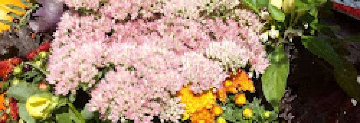 Bosco’s Garden Center