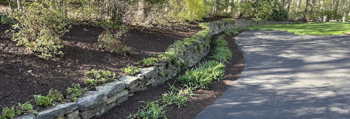 Solid Grounds Landsaping LLC