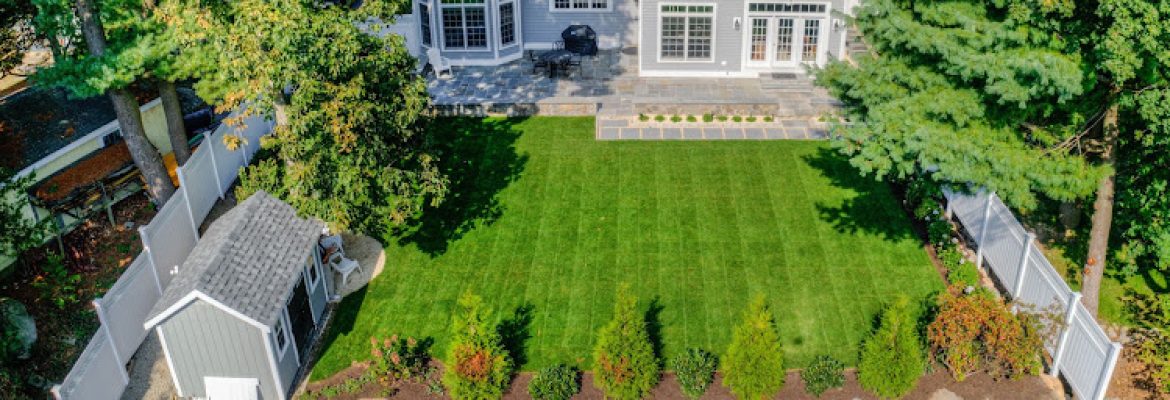 Davida Landscape Designs LLC