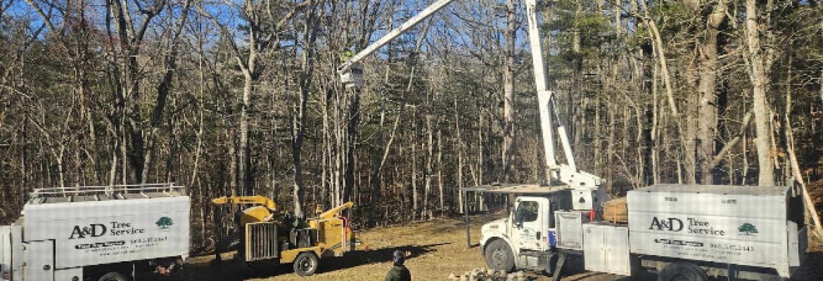 A & D Tree Service LLC
