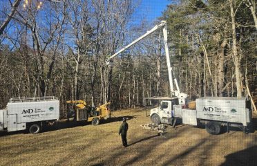 A & D Tree Service LLC