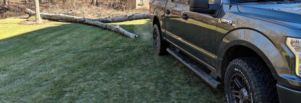 Valentin Tree Removal