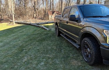 Valentin Tree Removal