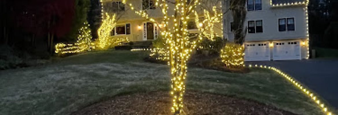 Christmas Lights Installer Pro