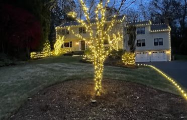 Christmas Lights Installer Pro