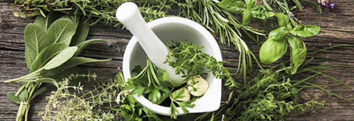 Nature’s Helper Naturopathic Medicine