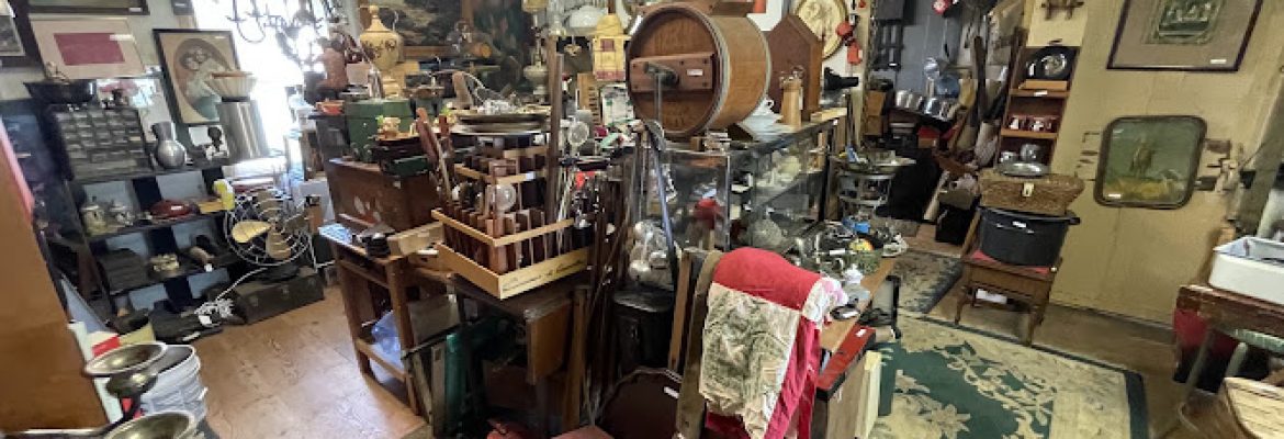 The Junk Shop