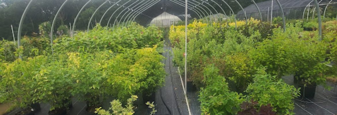 Broken Arrow Nursery
