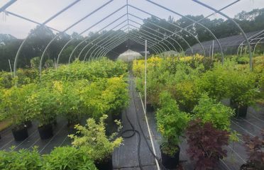 Broken Arrow Nursery