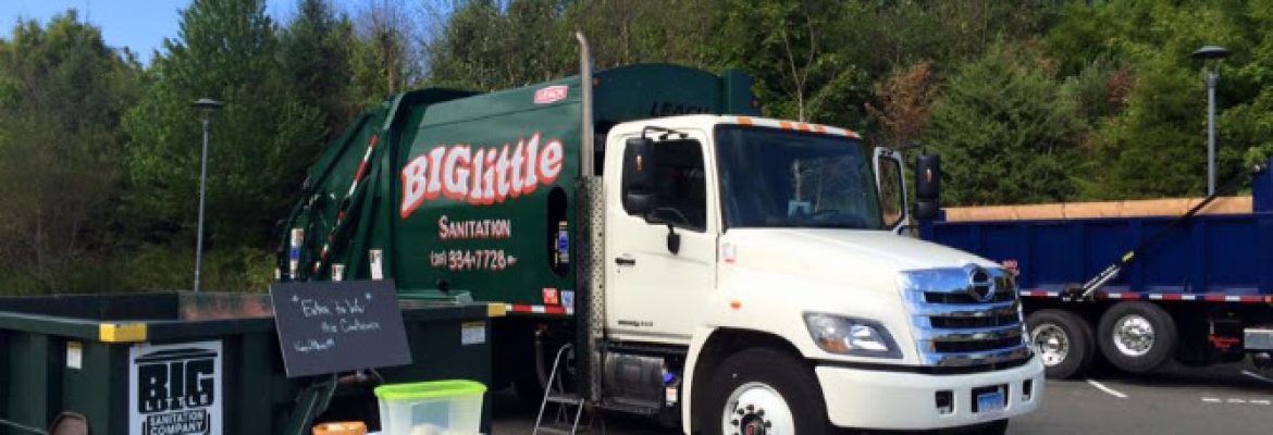 Big Little Sanitation Company