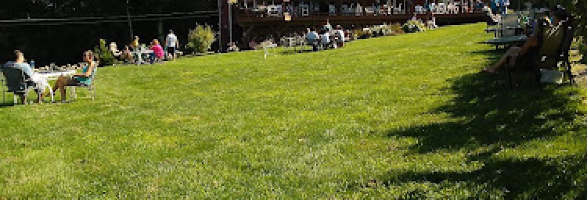 Lost Acres Vineyard
