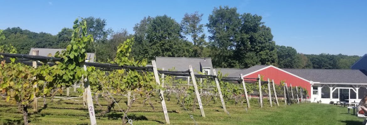 Taylor Brooke Winery