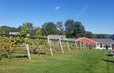 Taylor Brooke Winery