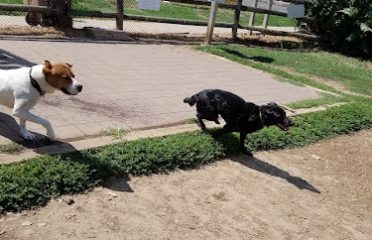 Stamford Dog Park