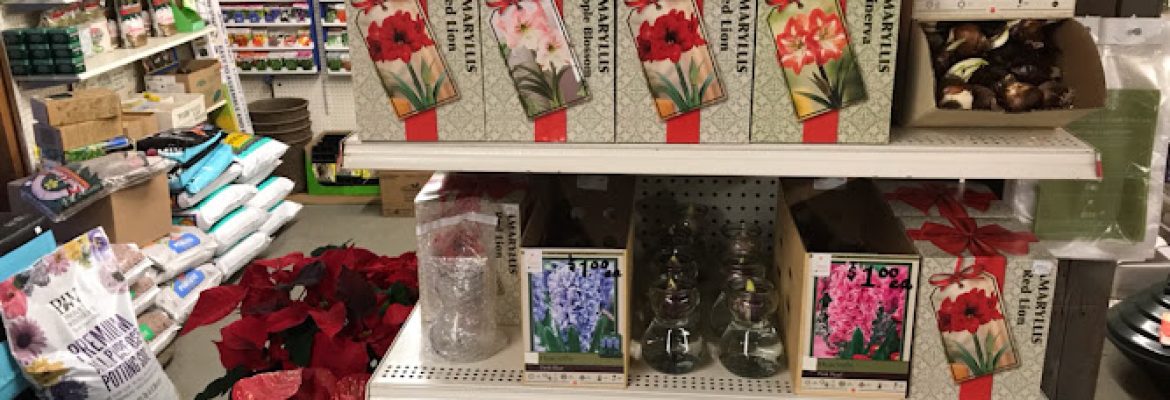Bidwell’s Yard, Garden & Pet