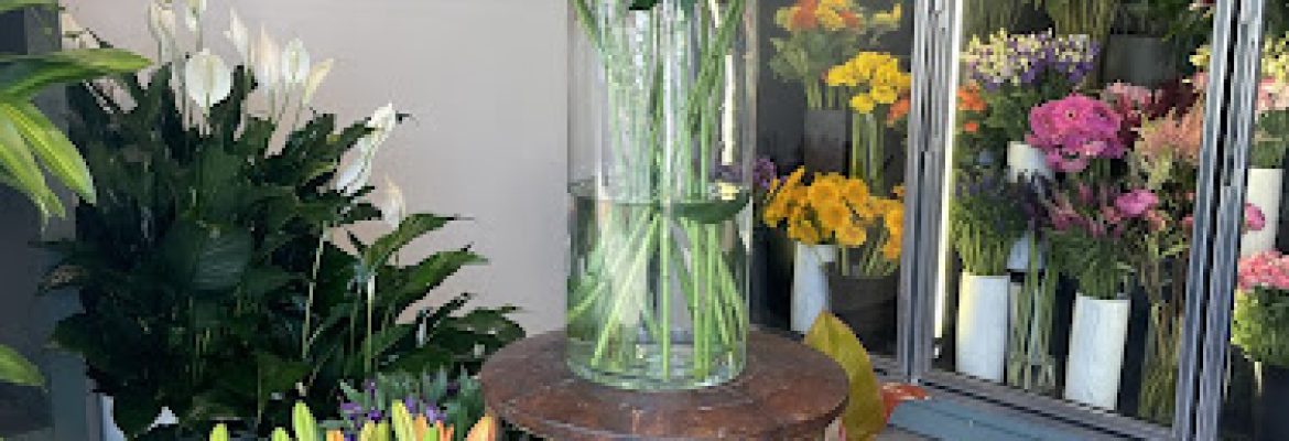 Racanello Florist