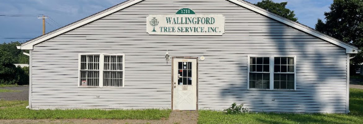Wallingford Tree Service, Inc.