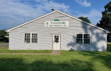 Wallingford Tree Service, Inc.