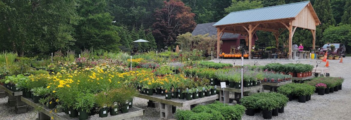 Acer Gardens