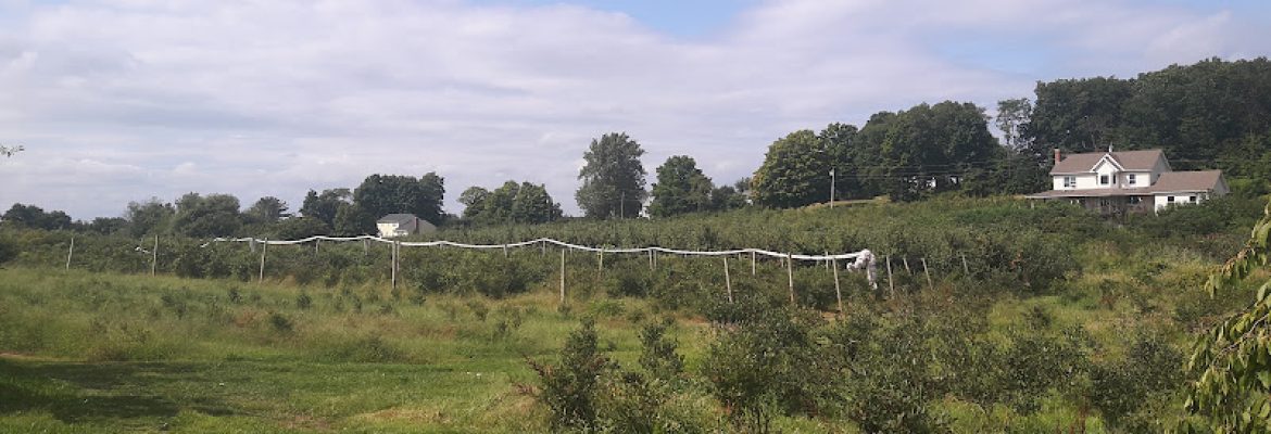 Dondero Orchards