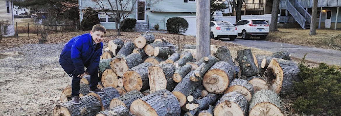 A+J Tree removal