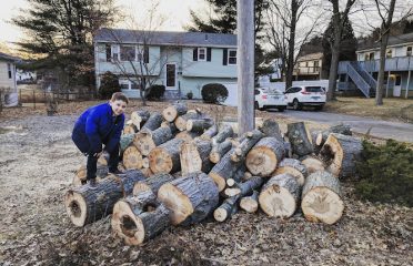 A+J Tree removal