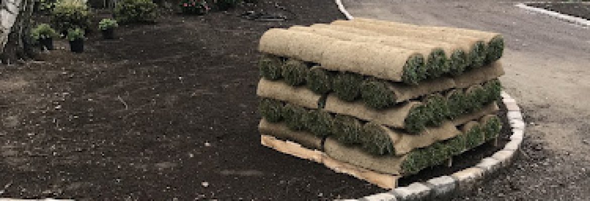 Paul Landscaping Services LLC