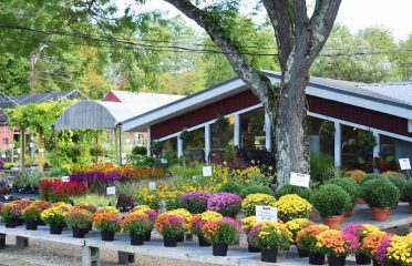 Salisbury Garden Center and Landscaping