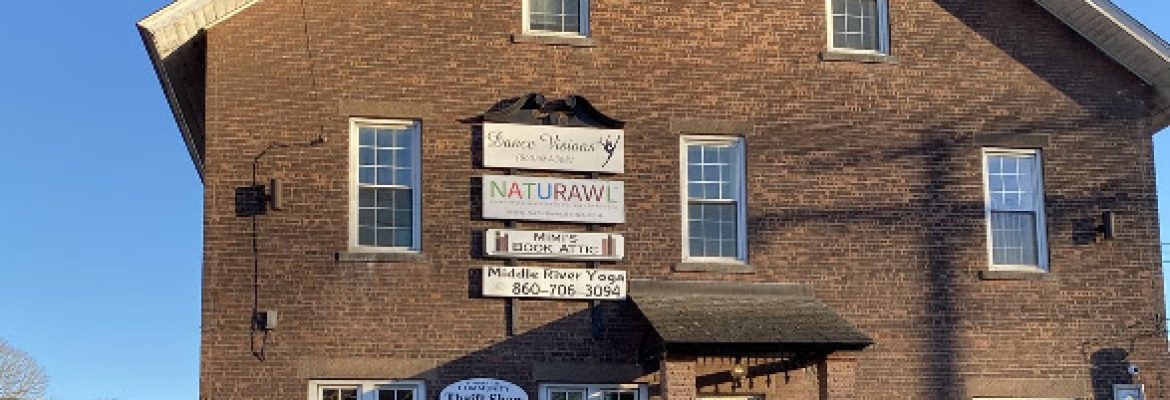Stafford Thrift Shop
