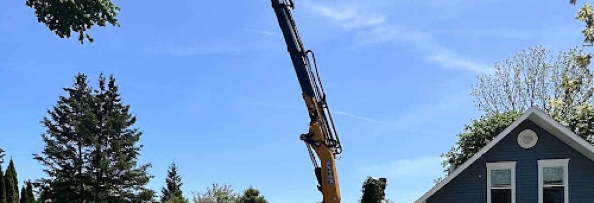 The Tree Company, LLC