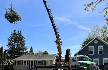 The Tree Company, LLC