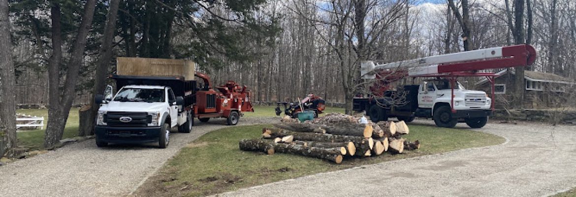 BCK Arborist
