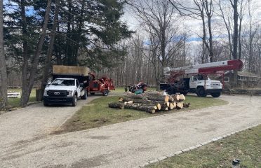 BCK Arborist