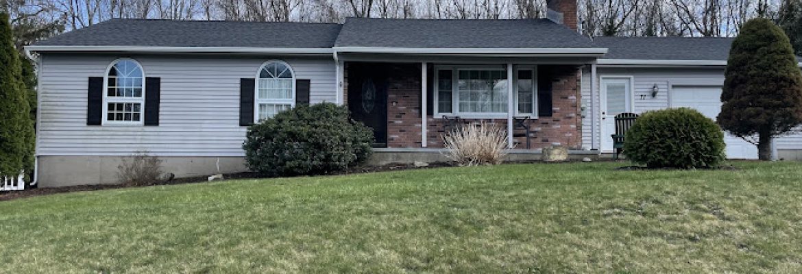 Busy Bee Roofing LLC