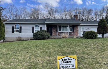Busy Bee Roofing LLC