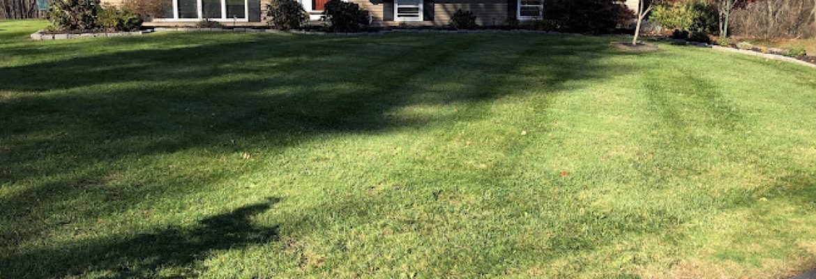Sean’s Lawn Care, LLC