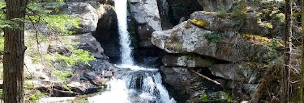Wyantenock State Forest