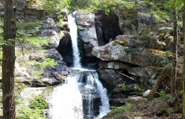 Wyantenock State Forest