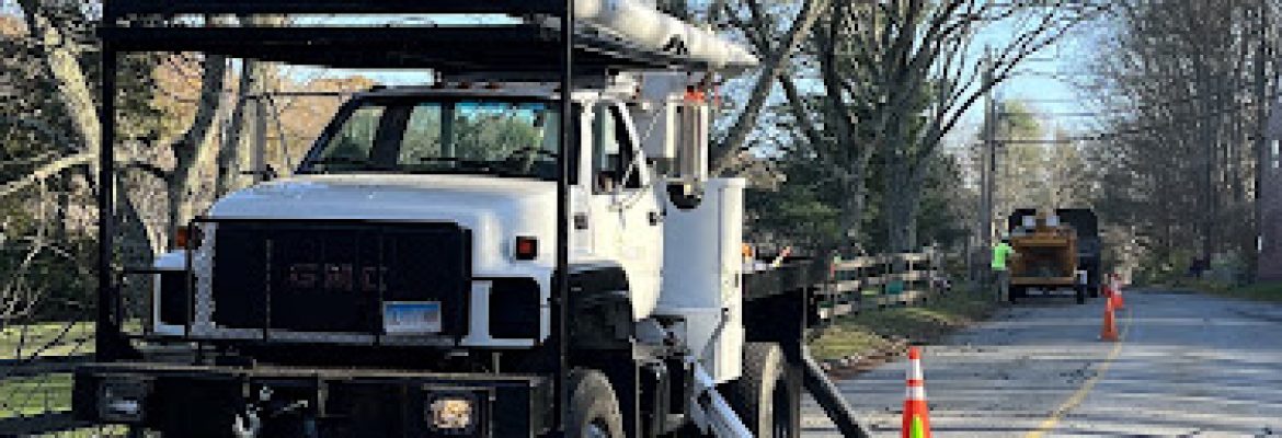 Under The Bark LLC. Tree Care