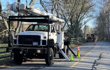 Under The Bark LLC. Tree Care