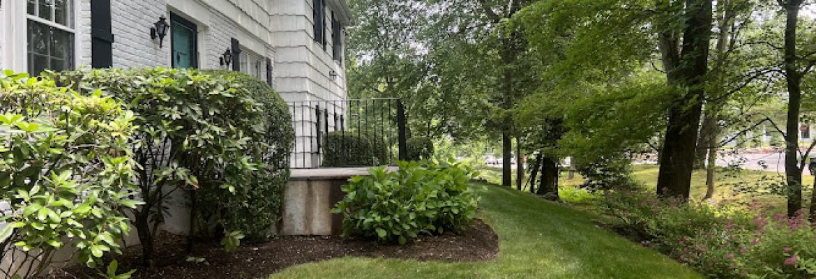 Leonel and Sons Landscaping