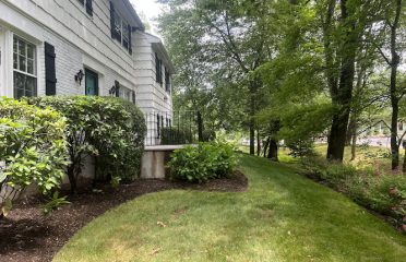 Leonel and Sons Landscaping