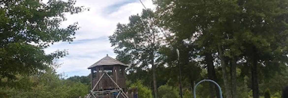Dickinson Playground