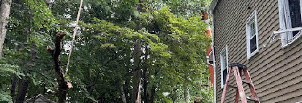 Chris Home Improvement & Landscaping, LLC.