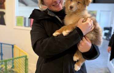 Save All Dogs Rescue Danbury