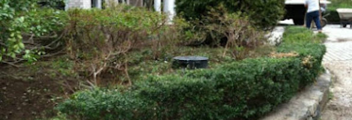 Diiorio Landscaping & Excavating, LLC.