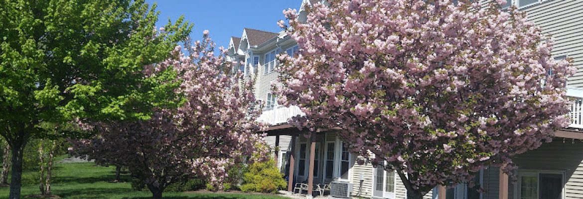 Law Office of Thomas W Ozimkoski Jr LLC