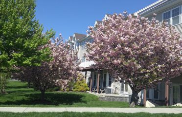 Law Office of Thomas W Ozimkoski Jr LLC